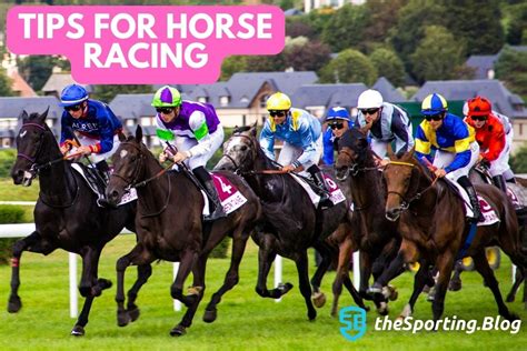 Horse Racing Tips and Picks .